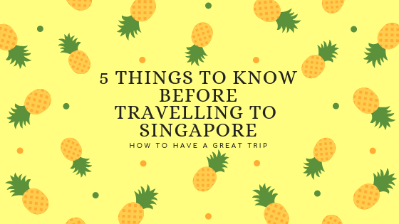 5 Things to Know before Travelling to Singapore